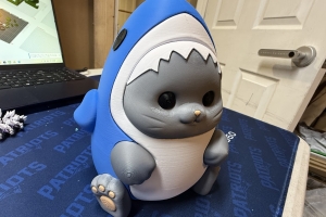 Cat in Shark Costume